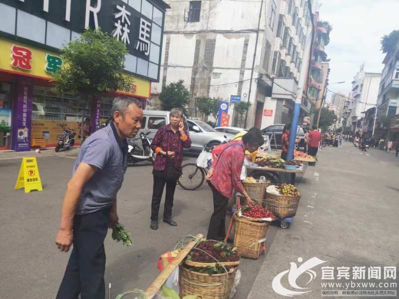 宜宾城市温情日常趣事与友情纽带最新报道