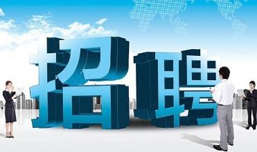 高阳最新招聘信息✨