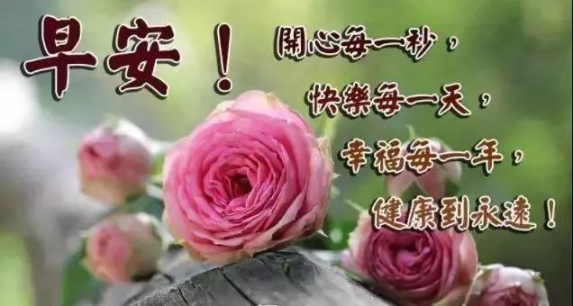 今日黄金回收价格更新，黄金之旅中的内心平静探寻