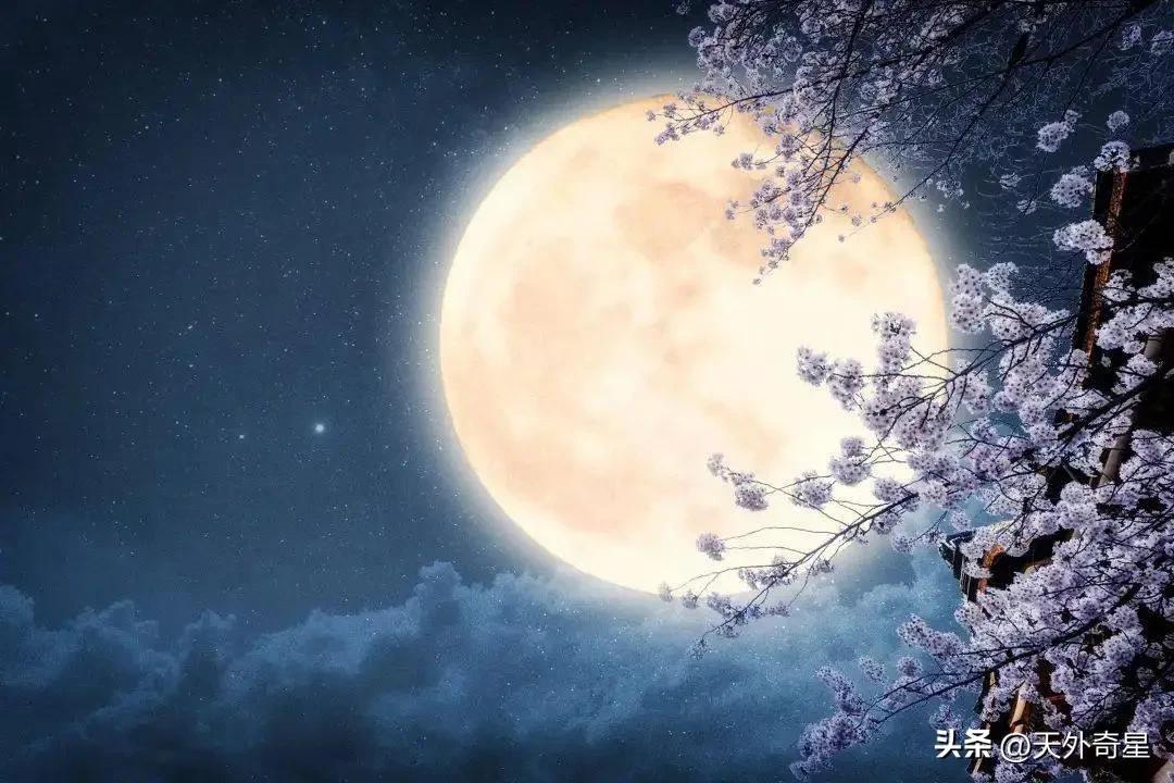 黄晓明最新电视剧，自然之旅的心灵觉醒之旅