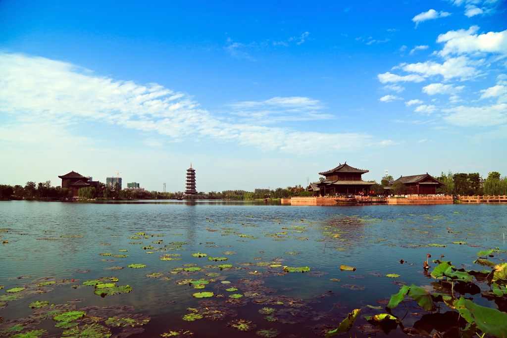 颍上最新新闻，自然之旅探寻内心平和的旅程