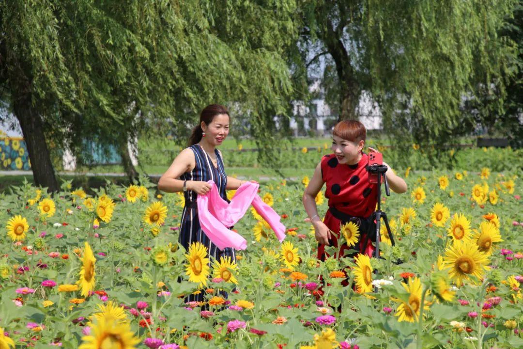 党的最新政策引领下的自然美景探索之旅