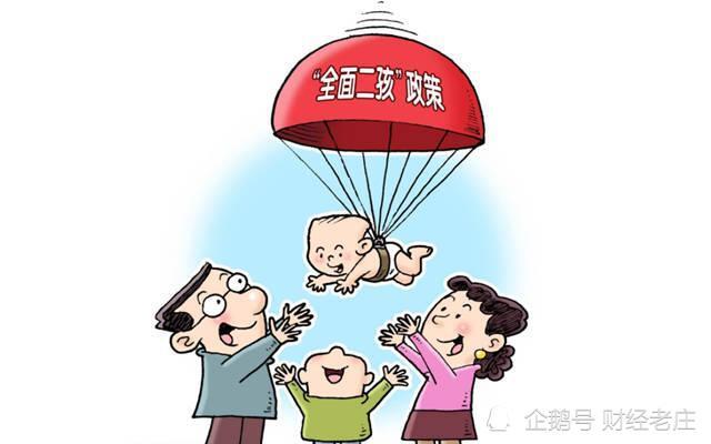 指南与步骤详解