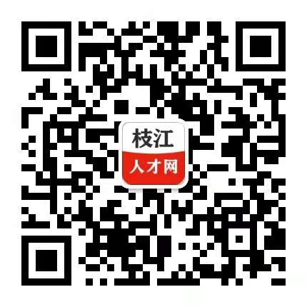 枝江招聘网最新招聘信息，求职全步骤指南