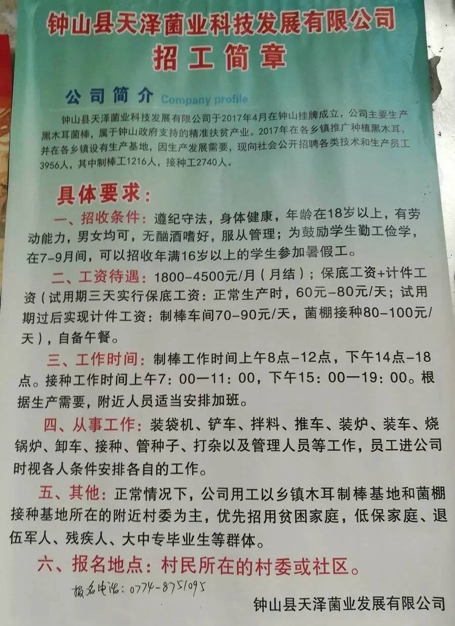 丹灶最新招聘信息,丹灶最新招聘信息与高科技产品介绍