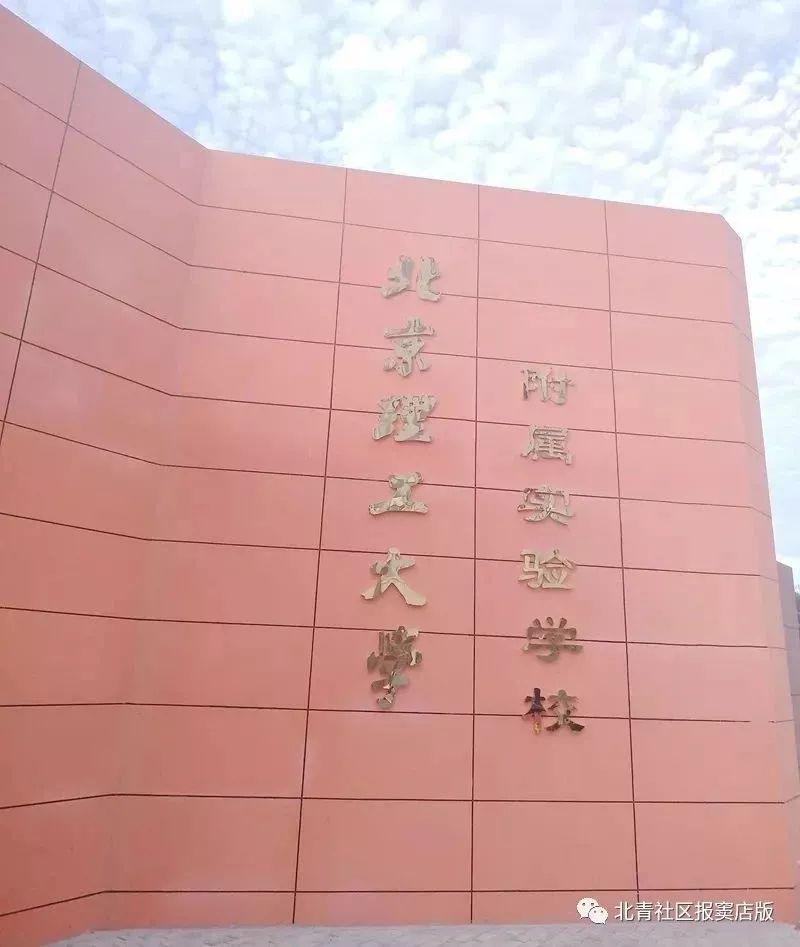 招聘动态解析