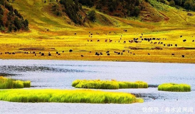华西股份探寻自然美景之旅，心灵洗涤与觉醒的最新消息