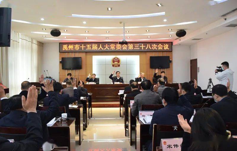 动态解析报告