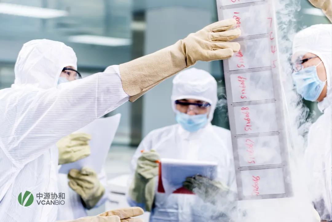 中源协和最新动态，自然美景探索之旅，心灵洗涤与重生之旅