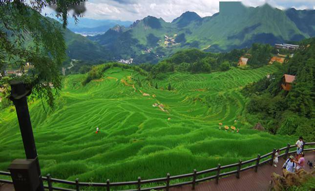 土元最新价格行情及自然美景旅行探索