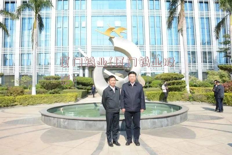 厦门钨业最新动态与友情故事的交织