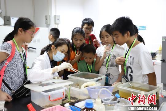 自然美景探索之旅 第16页