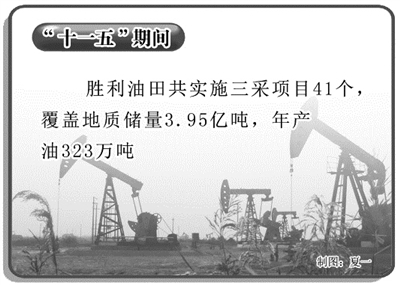 行业影响分析