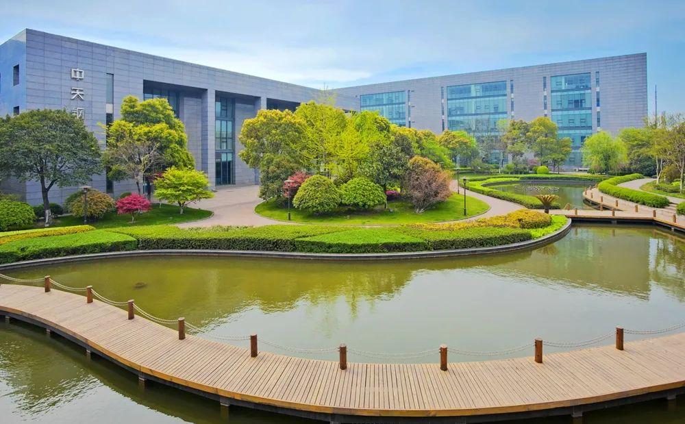 中天科技引领科技创新，最新传闻揭示强劲发展势头