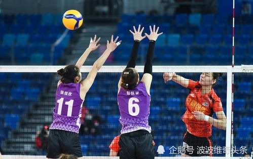 全国女排联赛