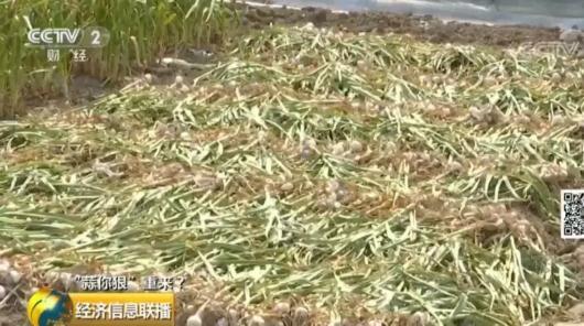 价格指南发布
