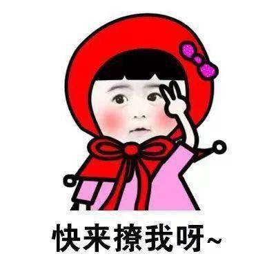 岗位丰富挑战多多
