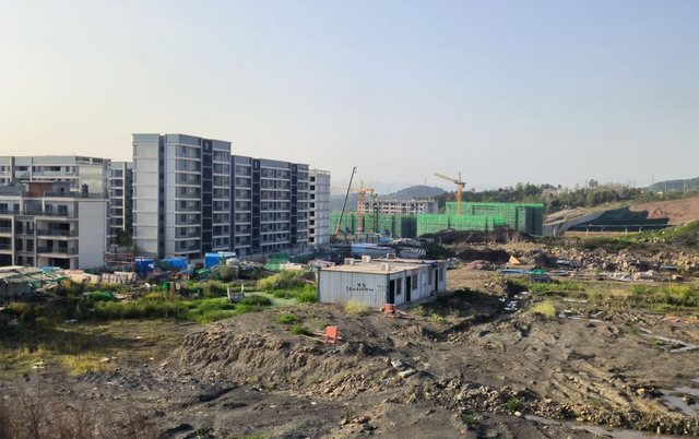 重庆中央公园新发现
