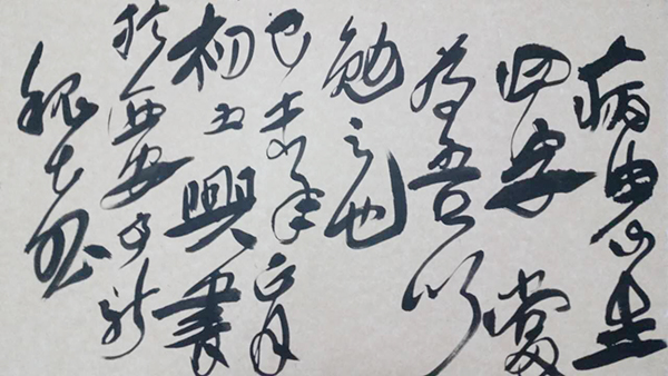 离夏魏喜最新章节,离夏魏喜最新章节，深度解析与探讨
