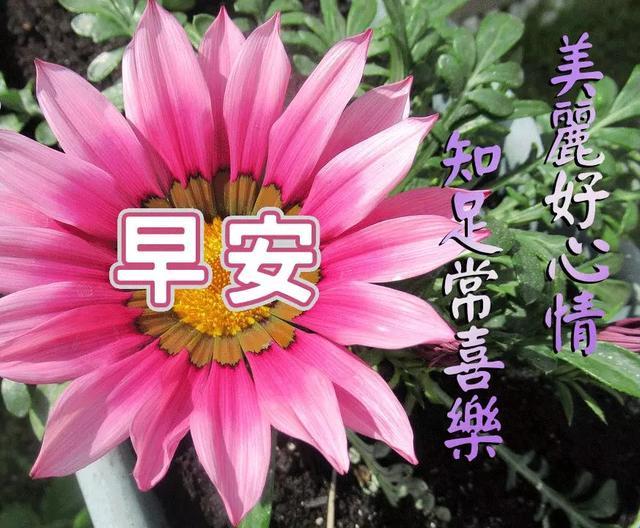 电影观看软件推荐