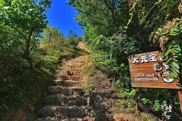 东风汽车利好消息揭秘，一场自然美景的探索之旅