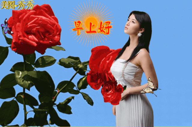 最新版分享
