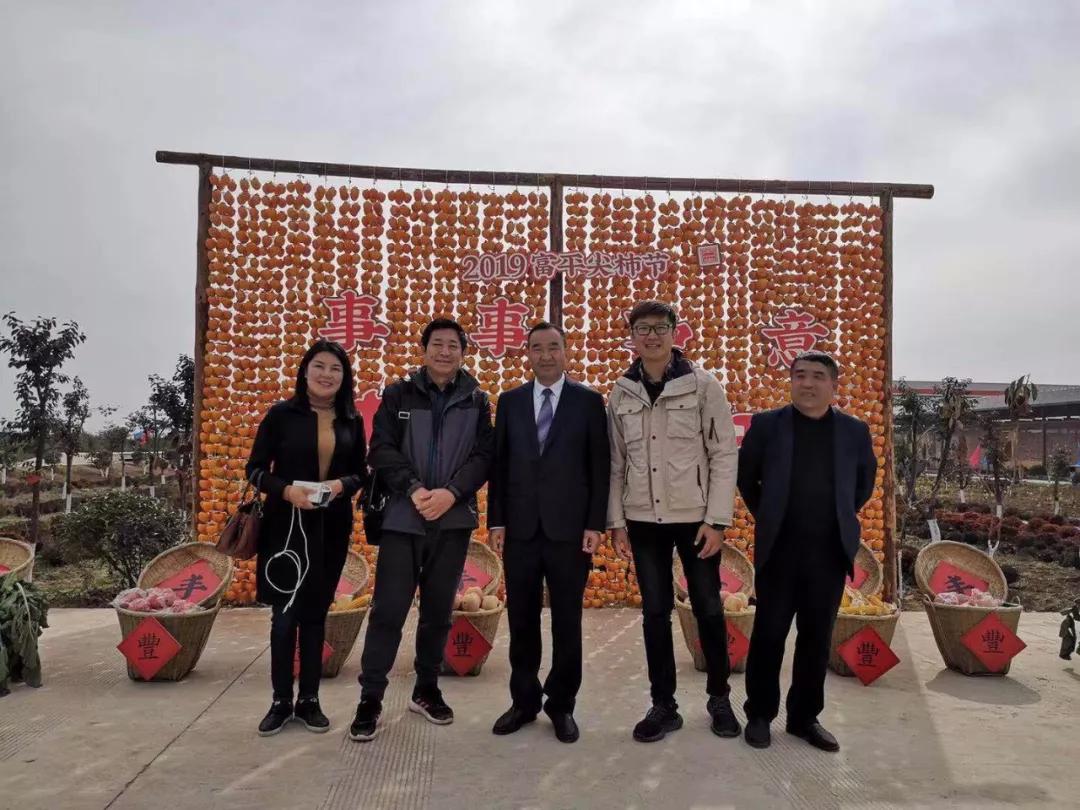 大荔金紫阳最新动态，科技重塑生活，未来智能魅力体验揭秘
