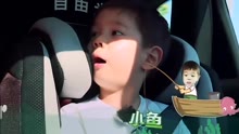 日常趣事与友情纽带揭秘