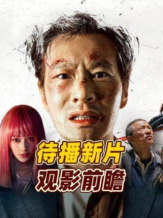 视觉盛宴引领者