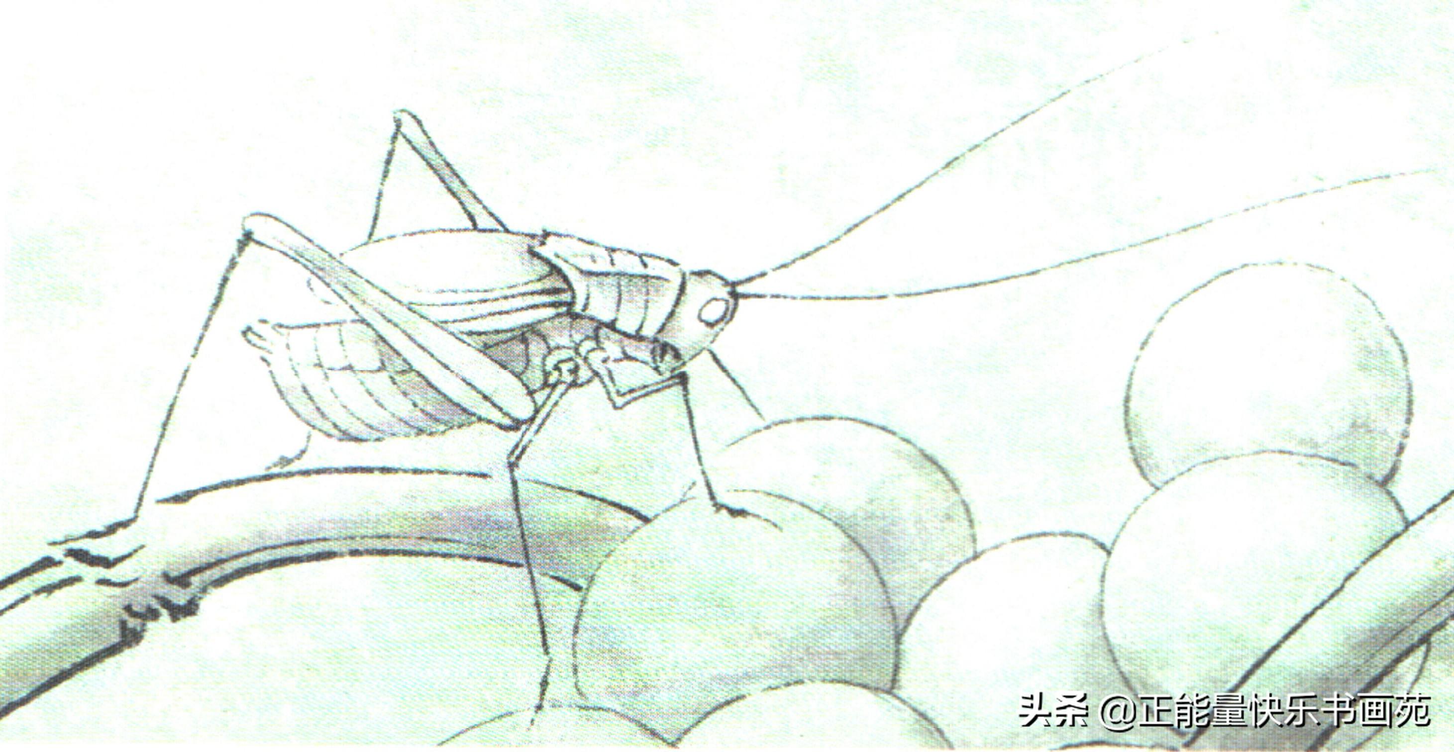 HDPE双壁波纹管 第312页