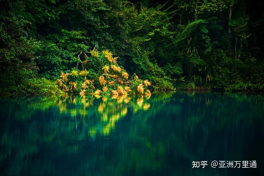 探索自然美景之旅，最新推荐收藏，寻找内心的平和乐园