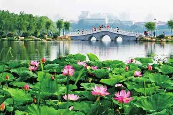 独特风景的魅力之旅
