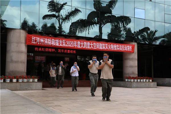 路面坍塌最新动态，背景、事件与影响的观察分析