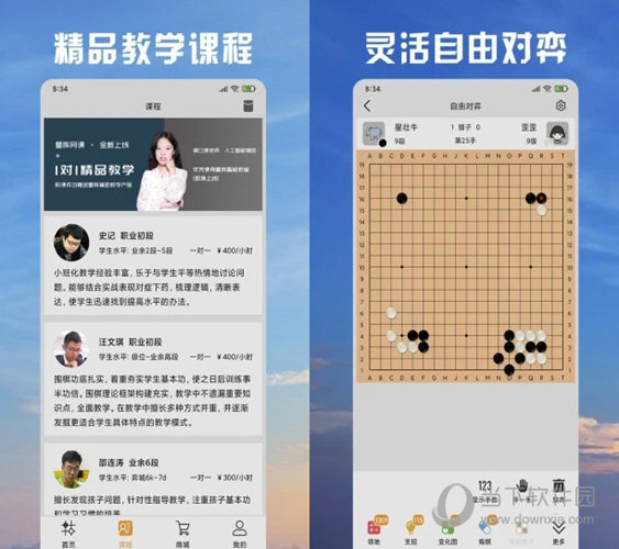 2024澳门天天开好彩大全正版,专业数据解释设想_安静版95.947
