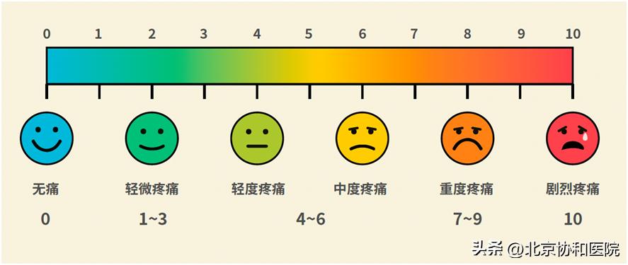 全新介绍