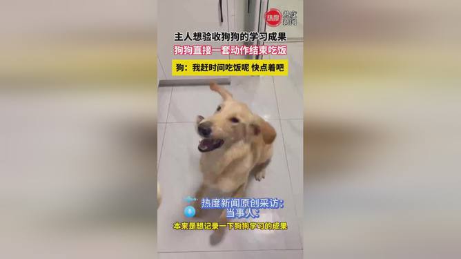 学习与成就的力量探索