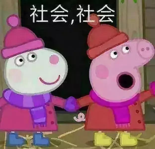 惠小猪最新