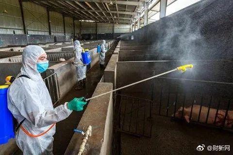 昭通疫情最新动态