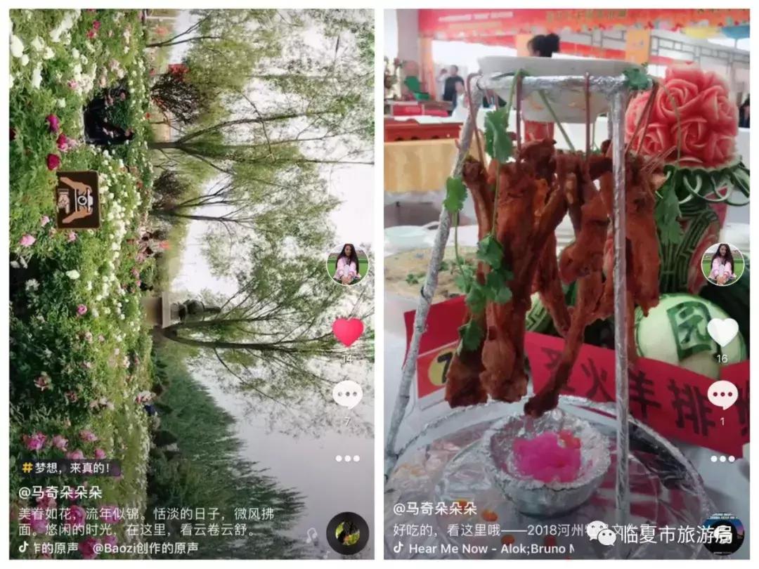 心动旋律
