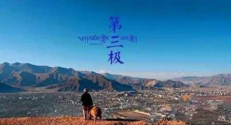 应莹最新探索之旅