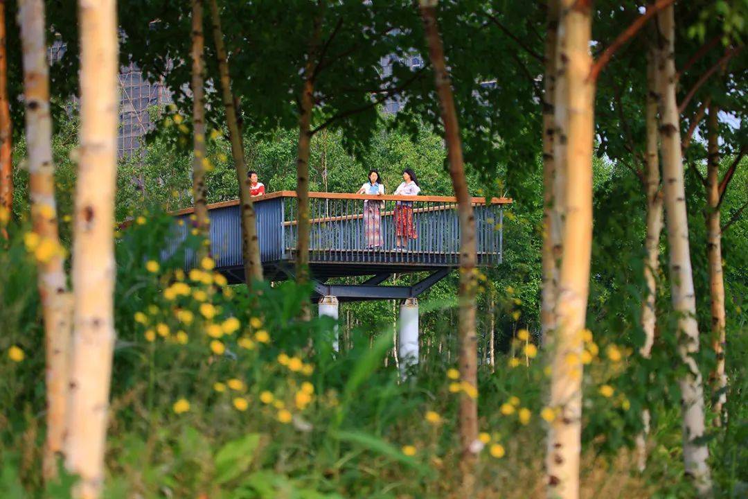 珍幼阁最新地址，自然美景的治愈之旅启程点
