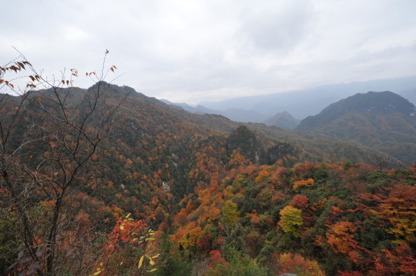 光雾山旅游攻略大全，最新攻略与游玩指南