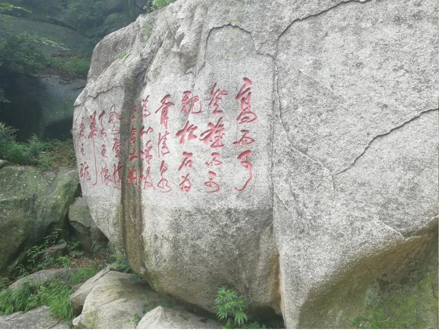 成就无限可能的阅读之旅