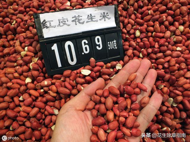 花生米价格