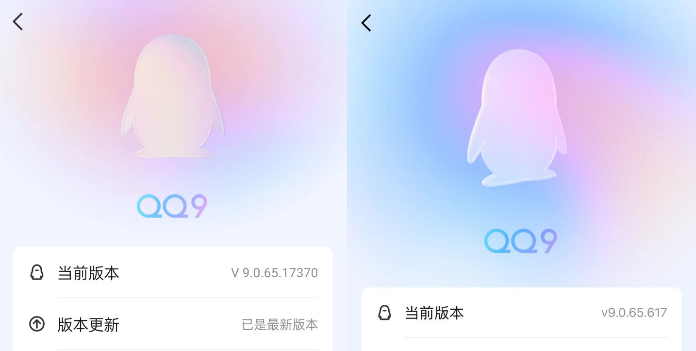 小巷中的秘密乐园
