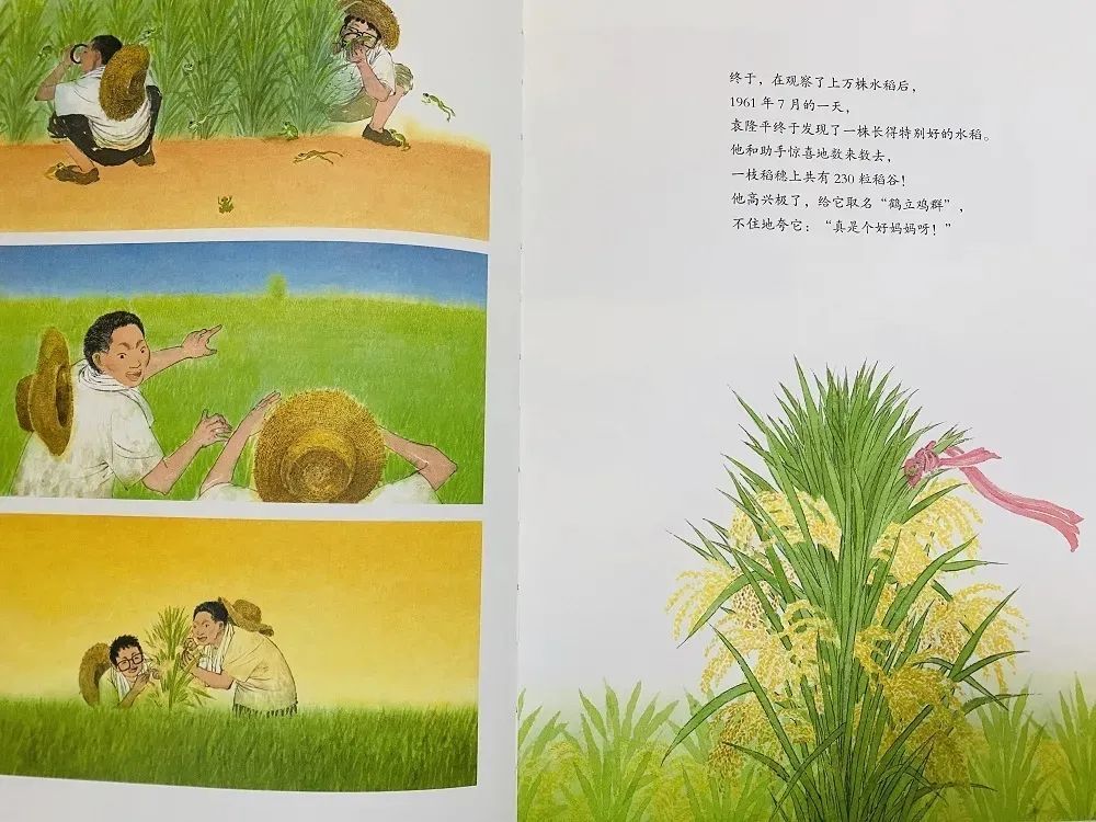 国际新闻动态