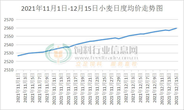 小麦最新价格揭秘与行情分析🌾