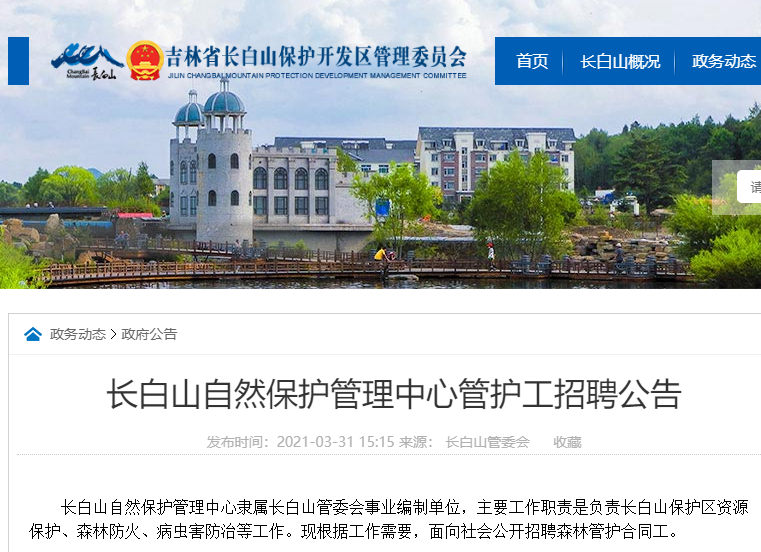 胶南信息港最新招聘，探索自然美景，寻找内心平和的旅程