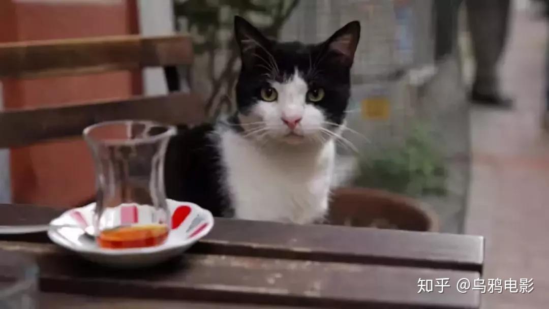 探索真实生活中的美好