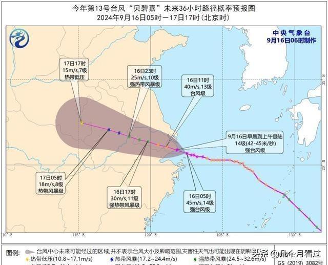 浙江台风最新动态及小巷中的隐秘美食资讯